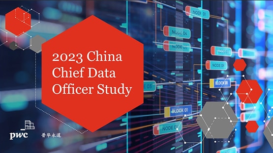  China Chief Data Officer Study