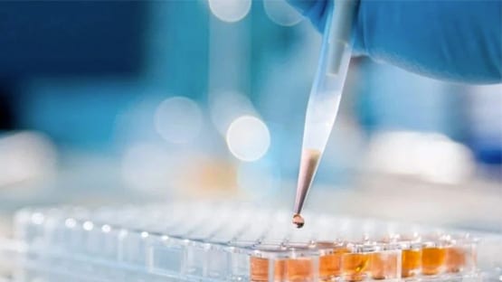 【智话医药医疗】推陈出新： 《2025年纠正医药购销领域和医疗服务中不正之风工作要点》上：解读